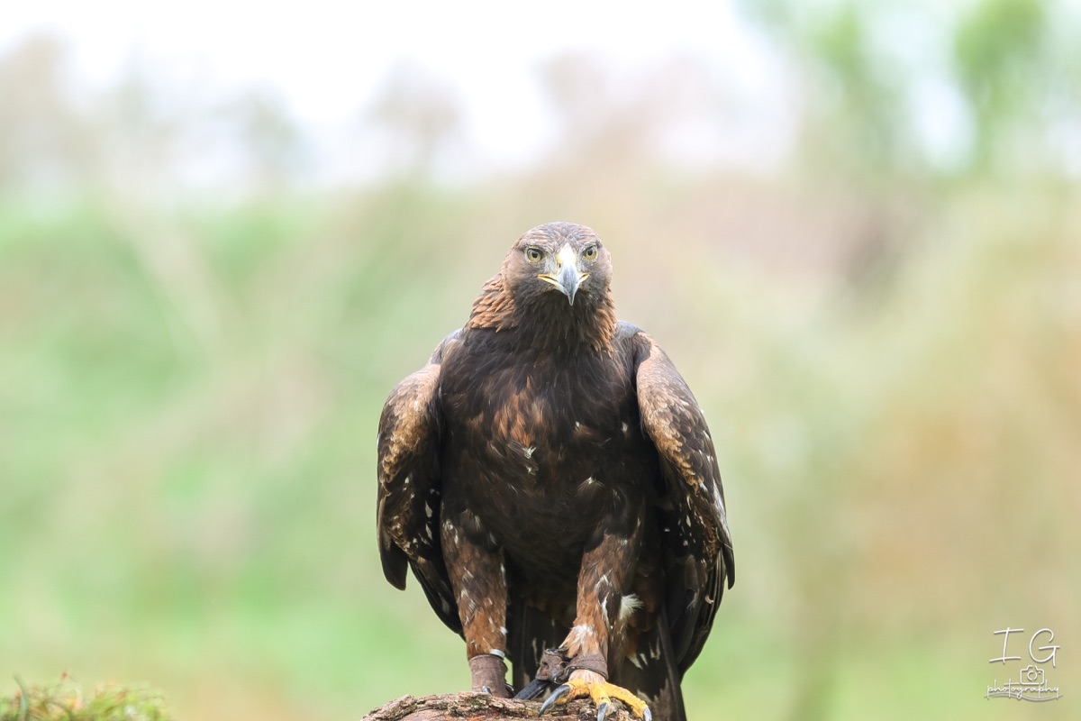 20211023 AK6I9881 insta